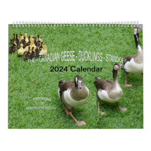 THE *CANADIAN GEESE* - *DUCKLINGS* STANDOFF 2024 CALENDAR