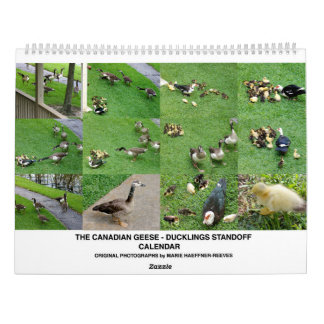 THE *CANADIAN GEESE* - *DUCKLINGS* STANDOFF 2026 CALENDAR