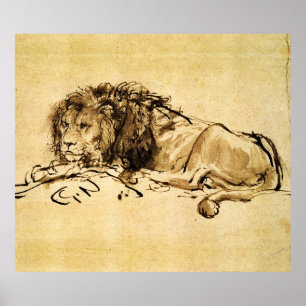 THE CAPE LION LYING DOWN, by Rembrandt Sepia,Black Poster