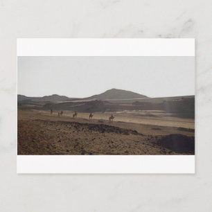 The caravan keeps moving postcard