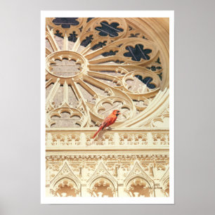 "The Cardinal" Church & Bird Watercolor Poster