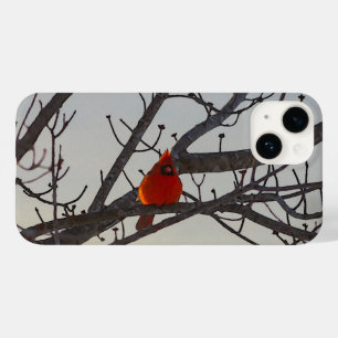 The Cardinal In The Morning iPhone Case