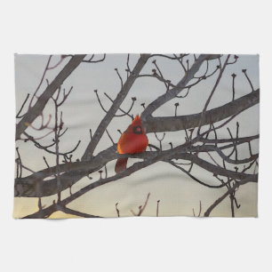 The Cardinal In The Morning Tea Towel