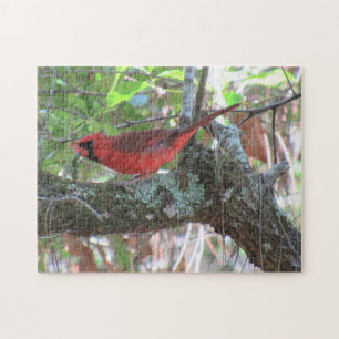The Cardinal's Lunchtime - Backyard Bird Jigsaw Puzzle