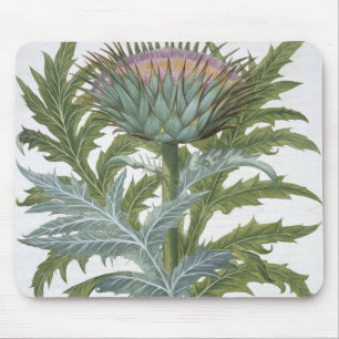 The Cardoon, from the 'Hortus Eystettensis' by Bas Mouse Pad