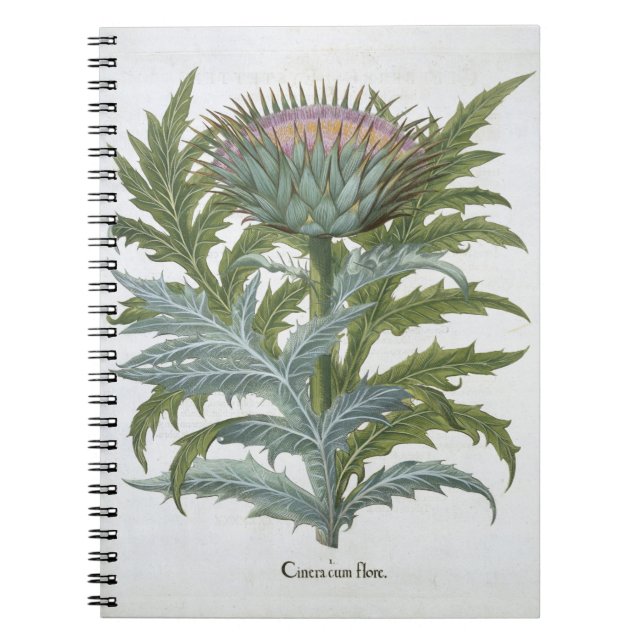 The Cardoon, from the 'Hortus Eystettensis' by Bas Notebook (Front)