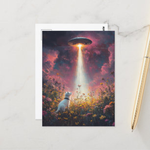 The Cat and a UFO Postcard