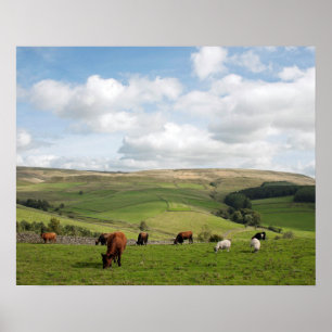 The Cat and Fiddle Inn Postcard Poster