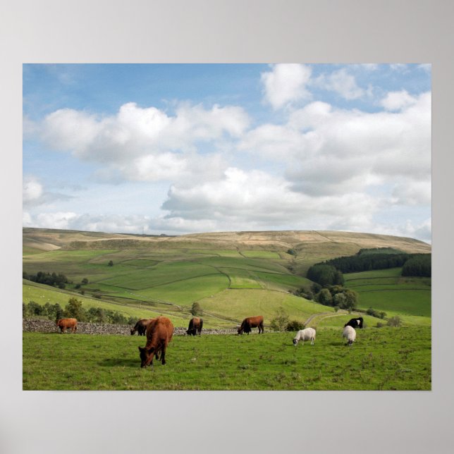 The Cat and Fiddle Inn Postcard Poster (Front)