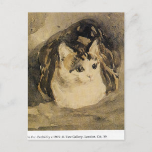 The Cat by Gwen John Postcard