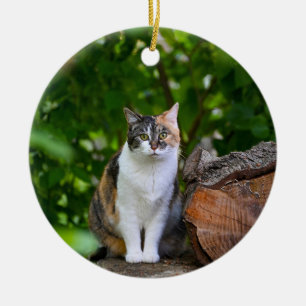 The Cat     Ceramic Ornament