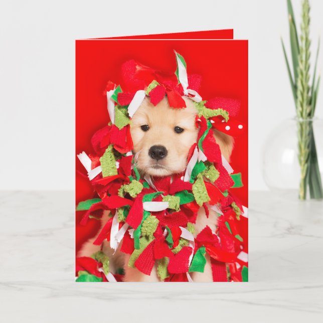 The cat did it Golden Retriever puppy Holiday Card (Front)