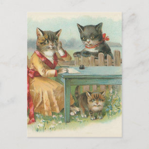 "The Cat Family" Vintage Postcard