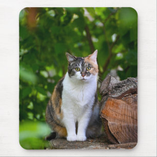 The Cat     Mouse Pad