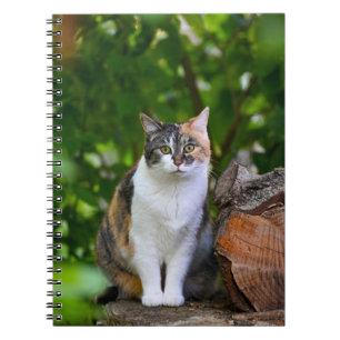 The Cat    Notebook