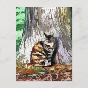 THE CAT POSTCARD