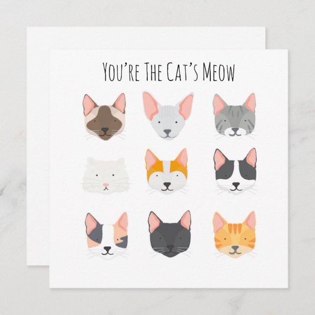 The Cat’s Meow Birthday Thinking of You Card (Front/Back)