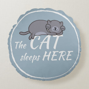 The cat sleeps here round cushion