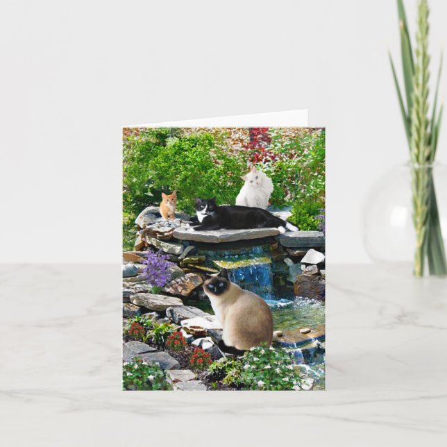 "The Cat Spa" Note Card (Front)