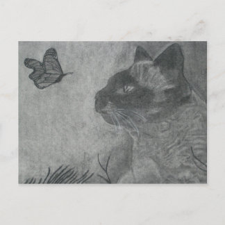The Cat & The Butterfly Postcard