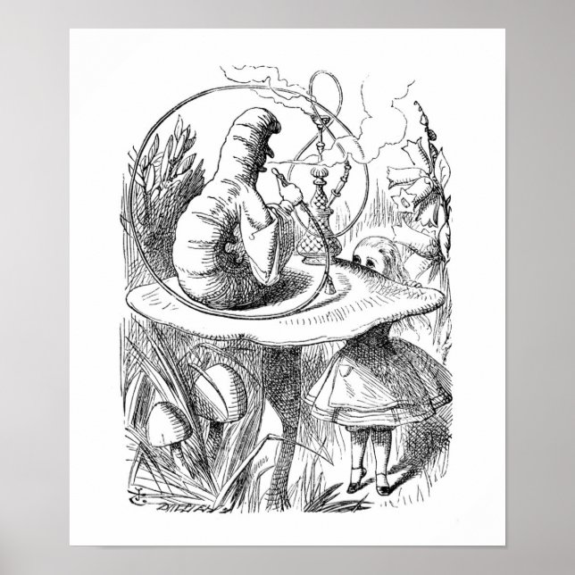 The Caterpillar Poster (Front)