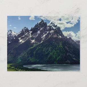 The Cathedral Group In Grand Teton National Postcard