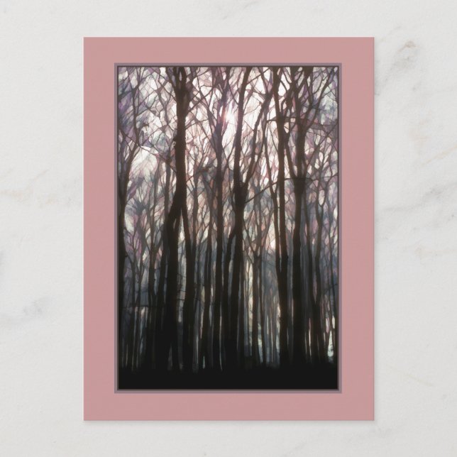 The Cathedral of the Forest Inspiring Photo Postcard (Front)