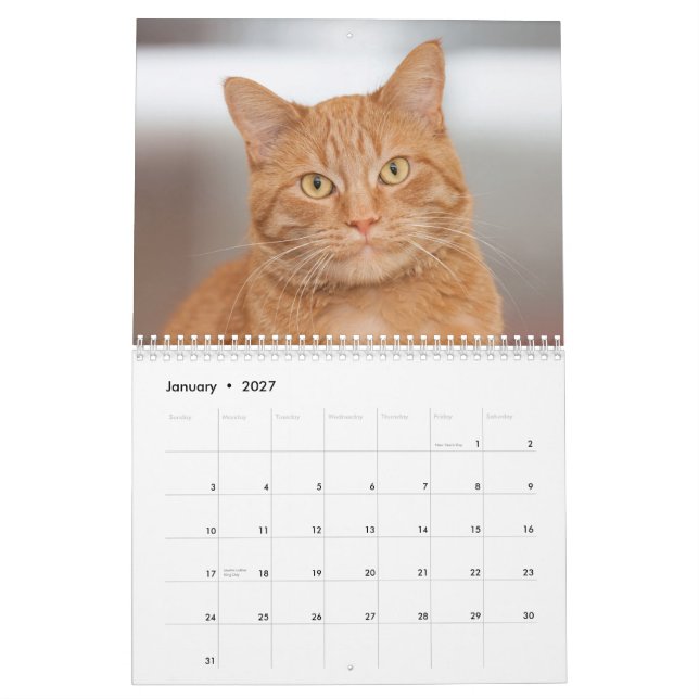 The Cats of Cats Cradle Shelter 2014 Calendar (Jan 2027)