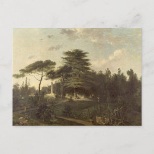 The Cedar of Lebanon in the Jardin des Plantes Postcard