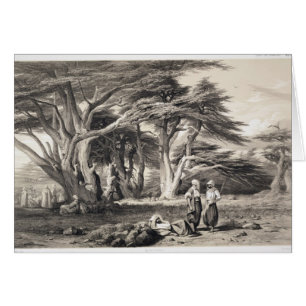 The Cedars of Lebanon, engraved by Freeman (sepia