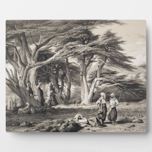 The Cedars of Lebanon, engraved by Freeman (sepia Plaque (Front)