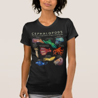 The Cephalopod Octopus Squid Cuttlefish and Nautil