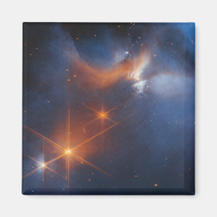 The Chamaeleon I Dark Molecular Cloud Magnet