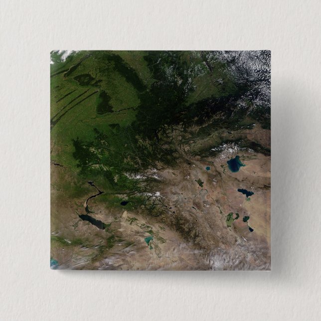 The change in vegetation 15 cm square badge (Front)