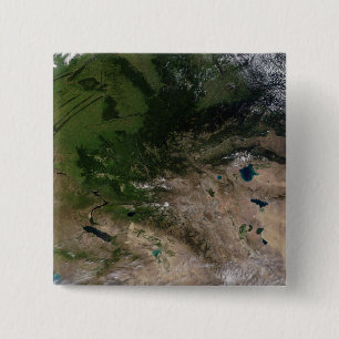 The change in vegetation 15 cm square badge