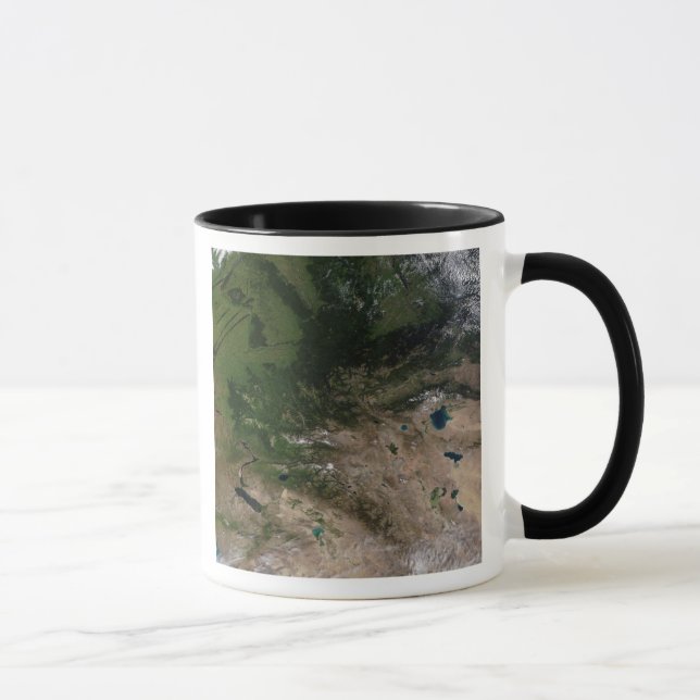 The change in vegetation mug (Right)