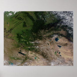 The change in vegetation poster