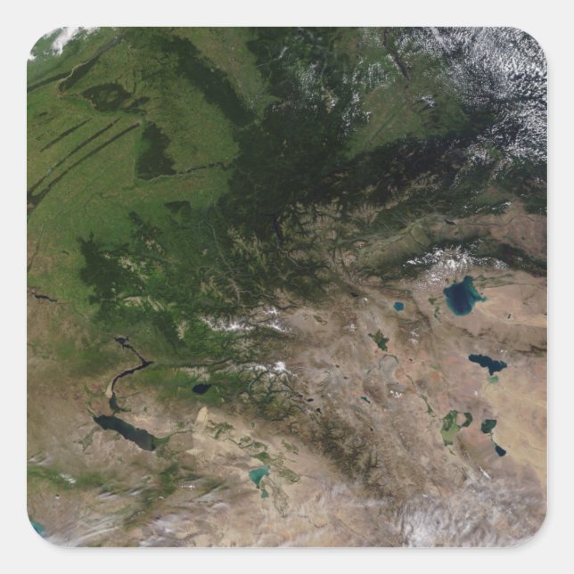 The change in vegetation square sticker (Front)