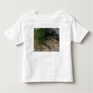 The change in vegetation toddler T-Shirt