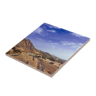 The charming beauty of desert nature under a blue  ceramic tile