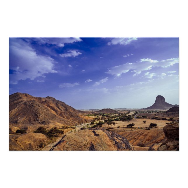 The charming beauty of desert nature under a blue  poster (Front)