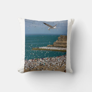 The Chase Cushion