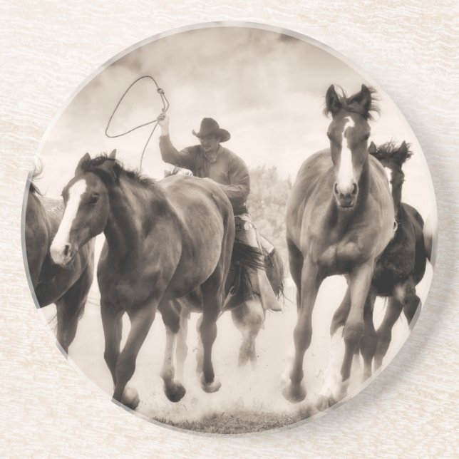 The Chase I Coaster (Front)