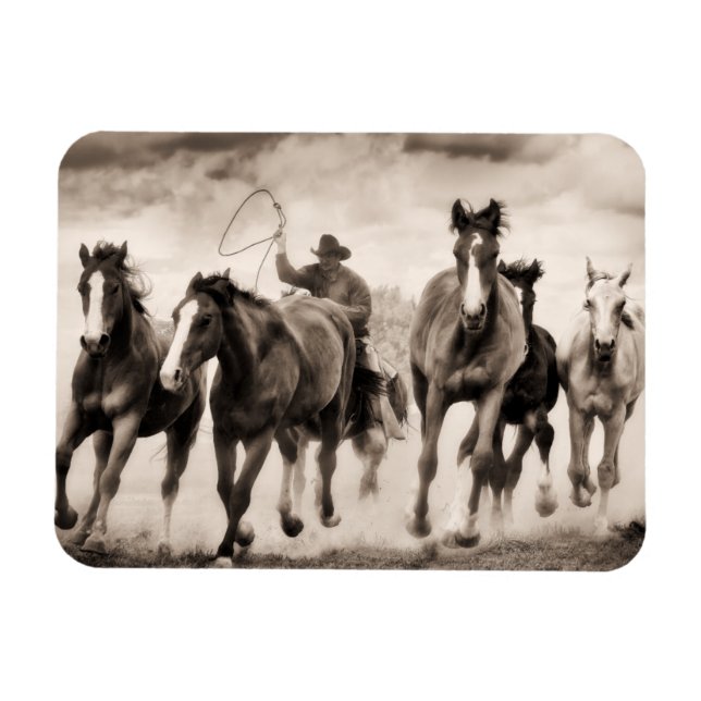 The Chase I Magnet (Horizontal)