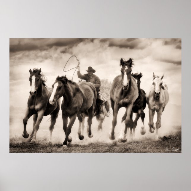 The Chase I Poster (Front)