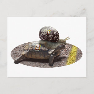 The Cheater Postcard