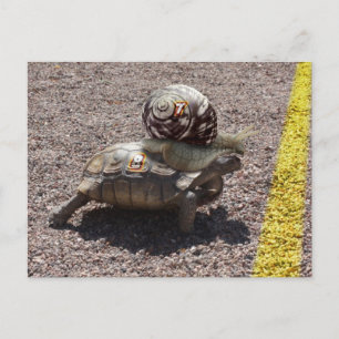 The Cheater Postcard