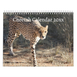 The Cheetah Calendar