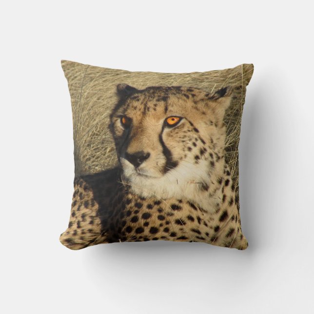 The Cheetah Cushion (Front)