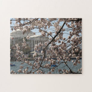 The Cherry Blossoms In Bloom In Washington DC Jigsaw Puzzle